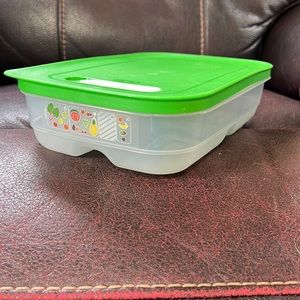 Tupperware Fridge Smart Medium